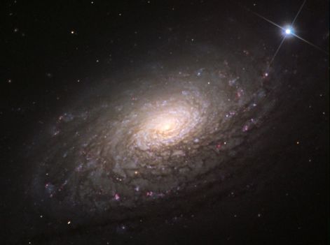 55_vagy_napraforgo-galaxis_egy_spiralgalaxis_a_canes_venatici_vadaszebe.jpg
